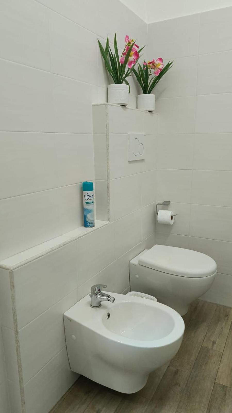 Rome Apartment D'Amata Ciampino Exterior photo